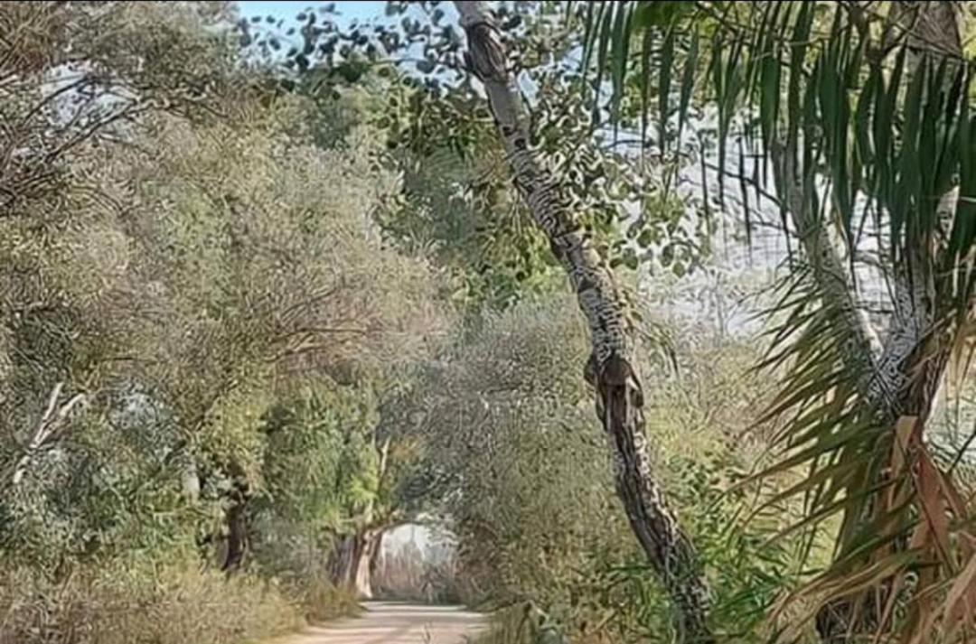 Habitacion Doble Con Aseo Compartido Coria del Río Dış mekan fotoğraf