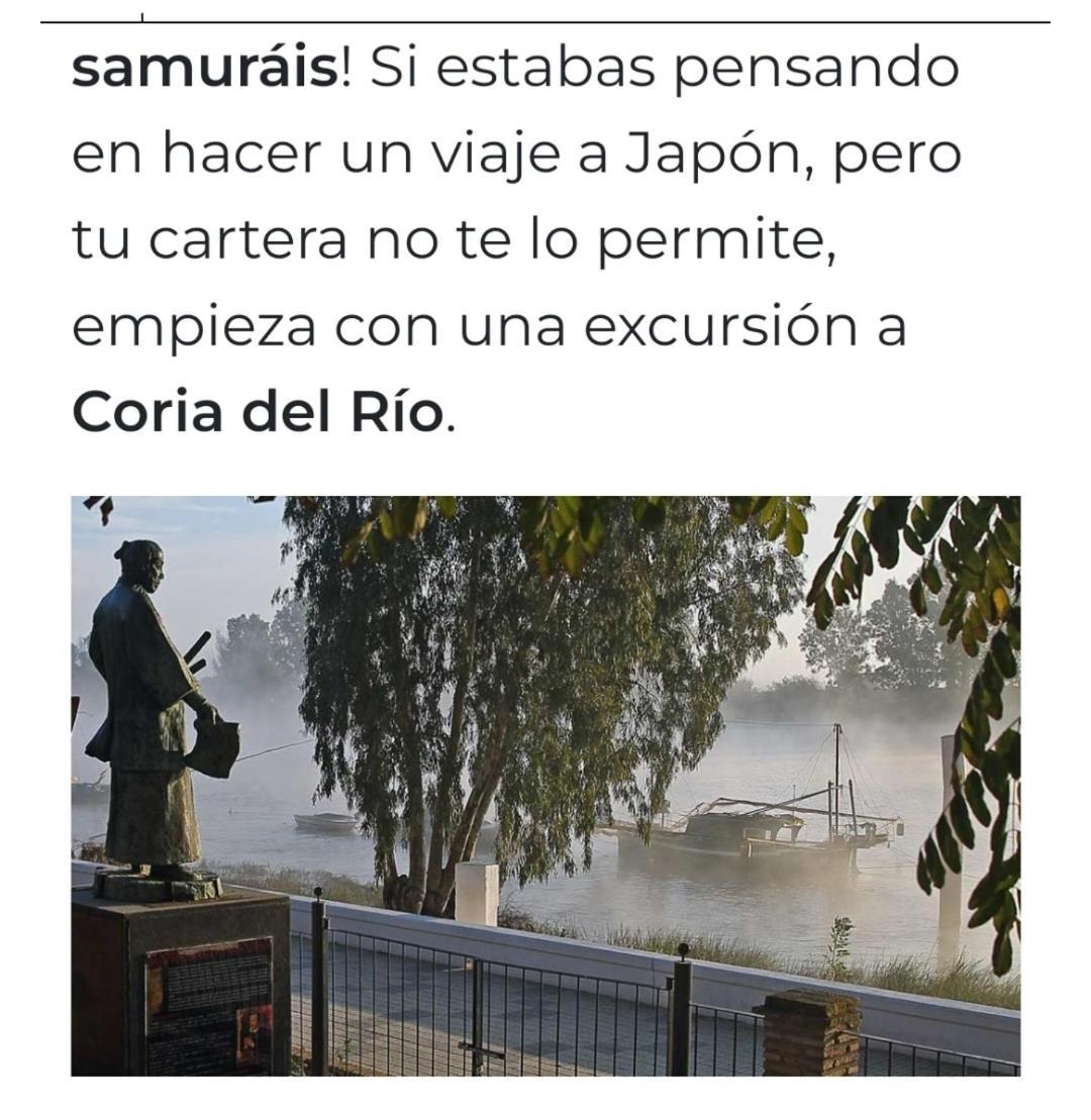 Habitacion Doble Con Aseo Compartido Coria del Río Oda fotoğraf